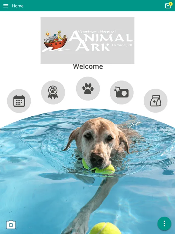 Скриншоты Animal Ark Veterinary Hospital iPad 