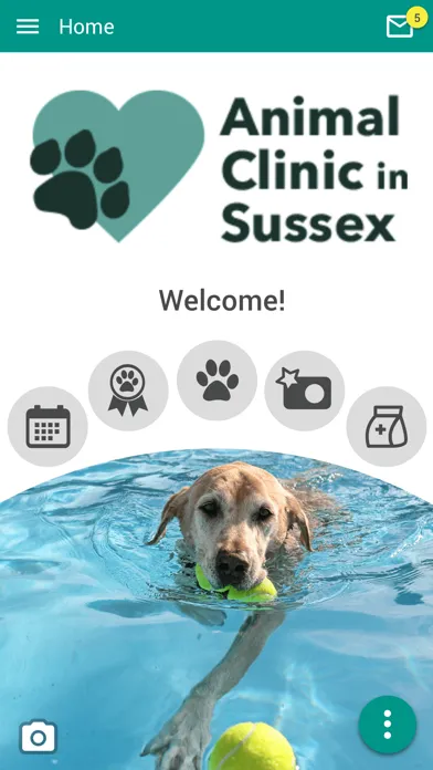 Ảnh chụp màn hình của Sussex My Vet