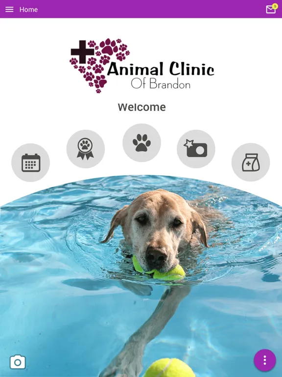 Скриншоты Animal Clinic of Brandon iPad 