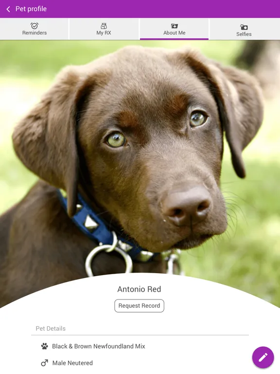 Скриншоты Animal Clinic of Brandon iPad 