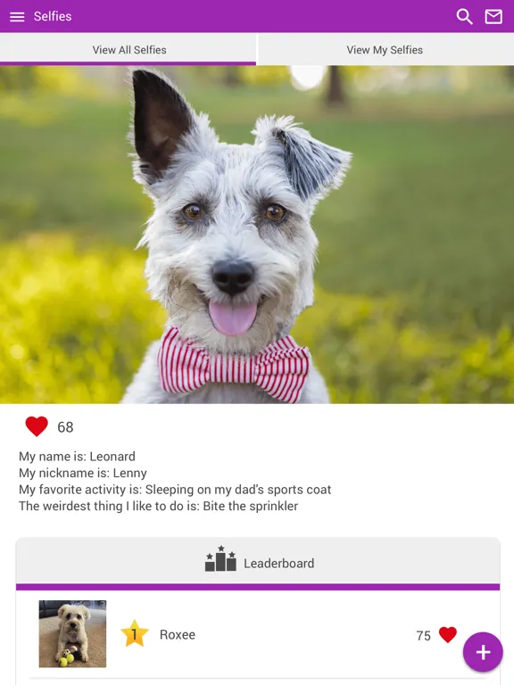 Скриншоты Animal Clinic of Brandon iPad 