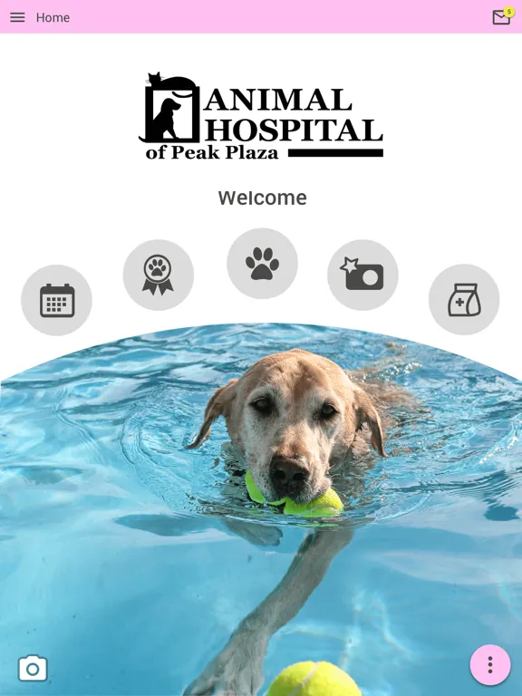 Screenshot di Animal Hospital of Peak Plaza iPad 
