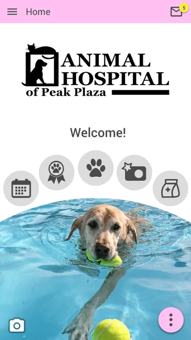 Screenshot di Animal Hospital of Peak Plaza