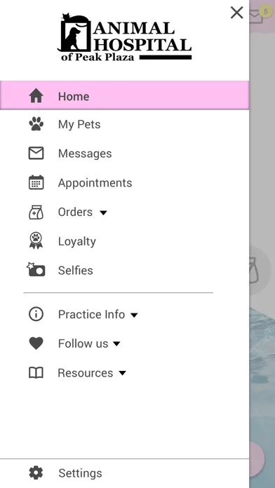 Screenshot di Animal Hospital of Peak Plaza