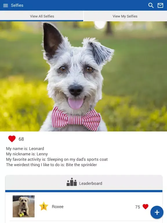Скриншоты PittsfordVet iPad 