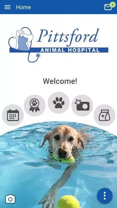 Скриншоты PittsfordVet