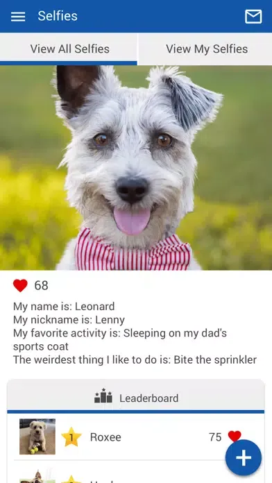 Скриншоты PittsfordVet