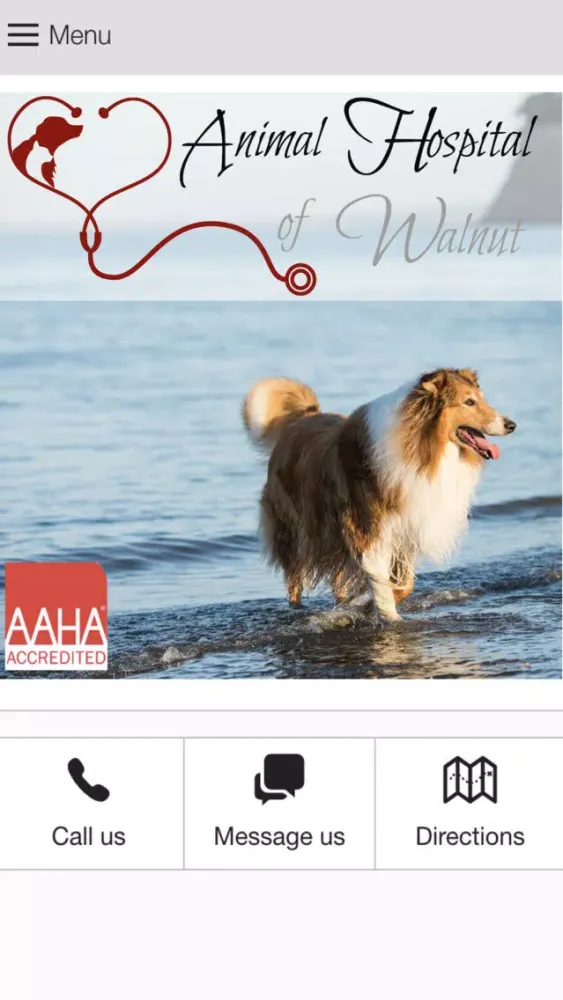 Zrzuty ekranu AH Walnut