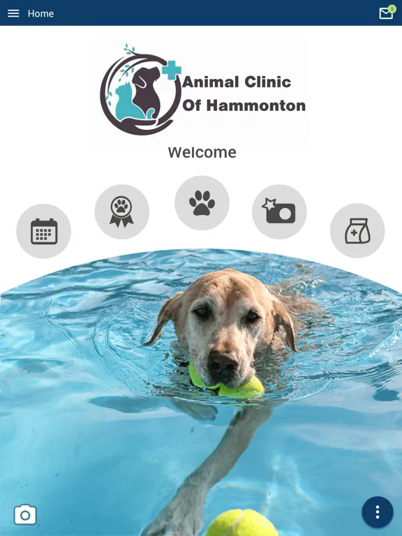 Zrzuty ekranu Animal Clinic of Hammonton iPad 
