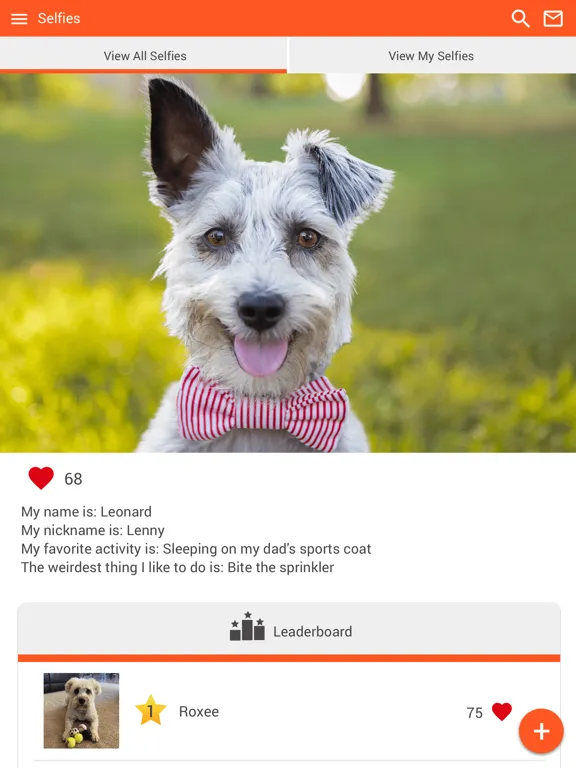 Ark Animal Hosp New Orleans iPad 应用截图