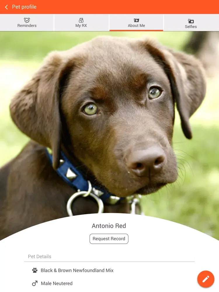 تصاویر Ark Animal Hospital Souderton iPad 