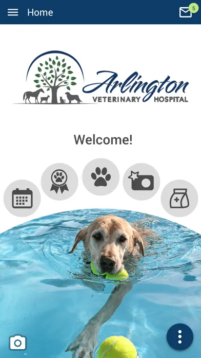 Arlington Vet应用截图