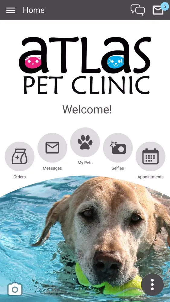 Atlas Pet Clinic Screenshots