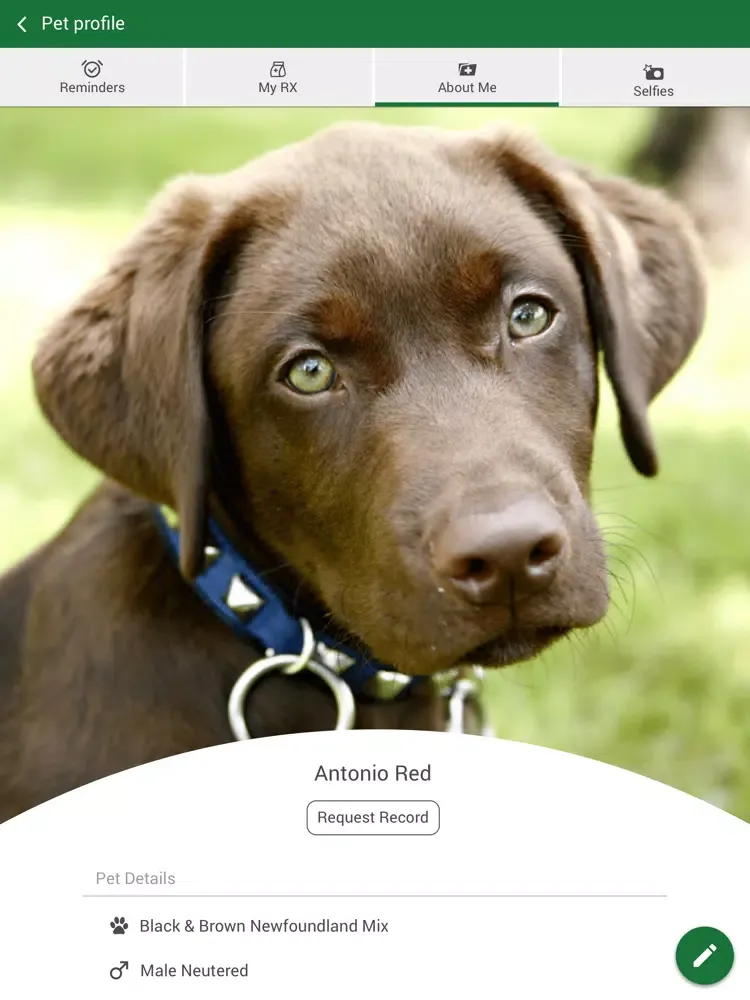 Aurora Veterinary Clinic iPad  Screenshots