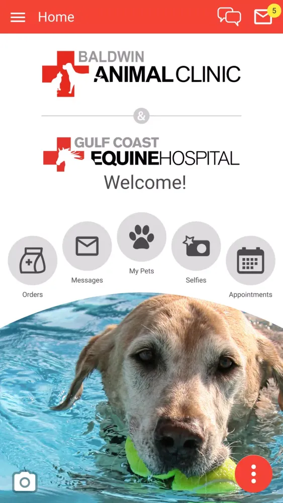 Baldwin Animal Clinic Screenshots