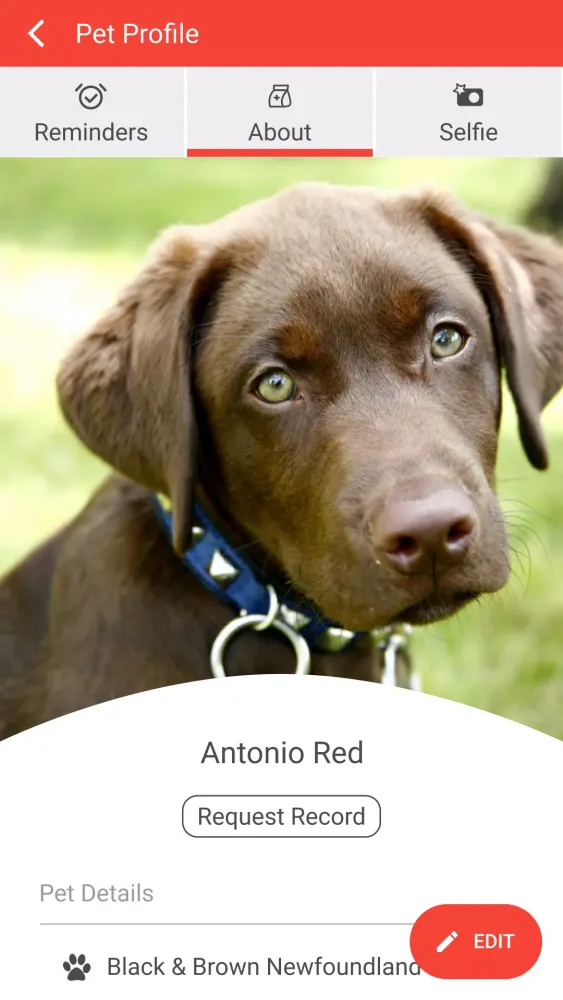 Baldwin Animal Clinic Screenshots