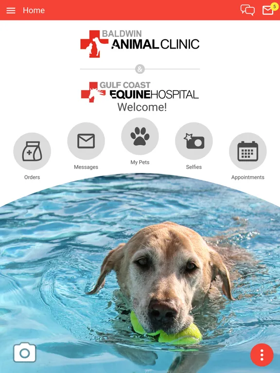 Baldwin Animal Clinic iPad 应用截图