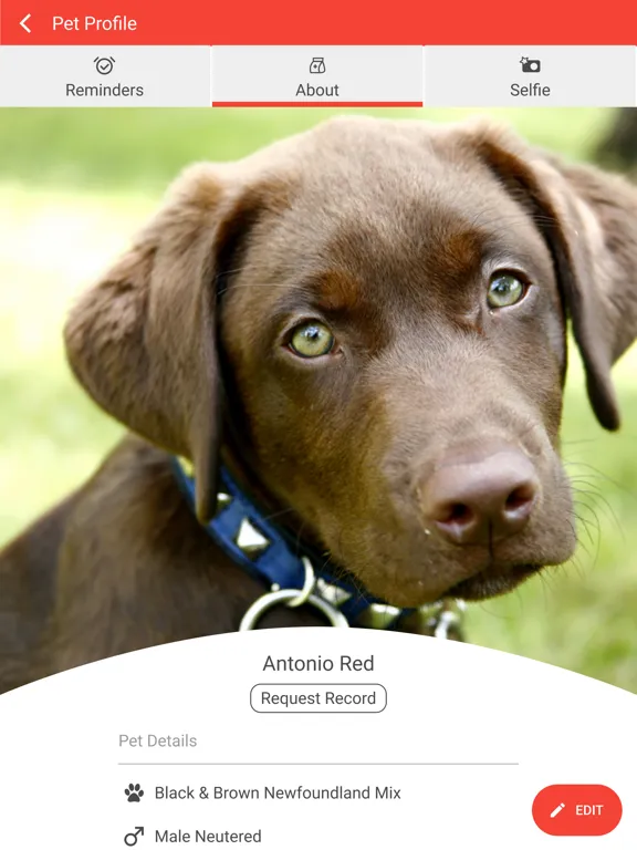Baldwin Animal Clinic iPad 应用截图
