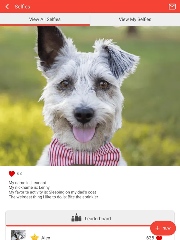 Baldwin Animal Clinic iPad 应用截图
