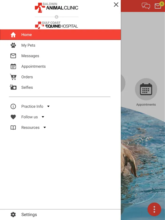 Baldwin Animal Clinic iPad 应用截图