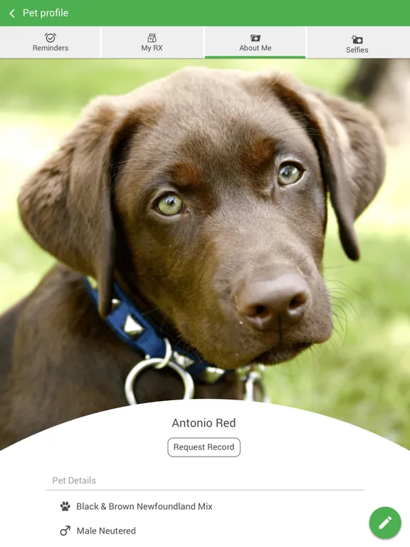 تصاویر Bartow Animal Hospital iPad 