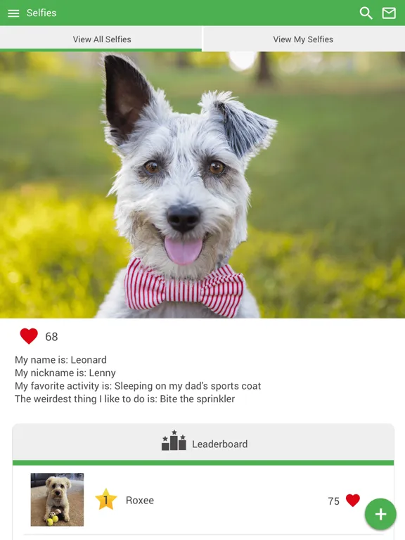 تصاویر Bartow Animal Hospital iPad 