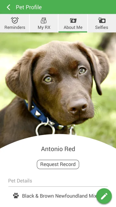 تصاویر Bartow Animal Hospital