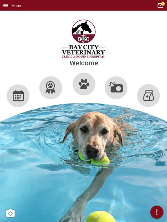 ภาพหน้าจอของ Bay City Vet and Equine iPad 