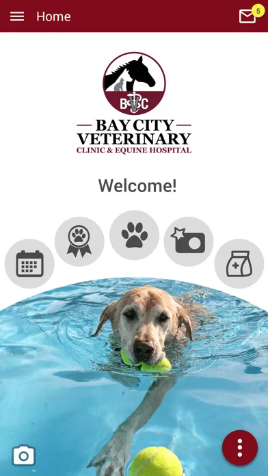 ภาพหน้าจอของ Bay City Vet and Equine