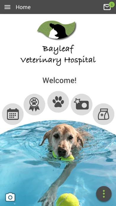 Bayleaf Vet应用截图