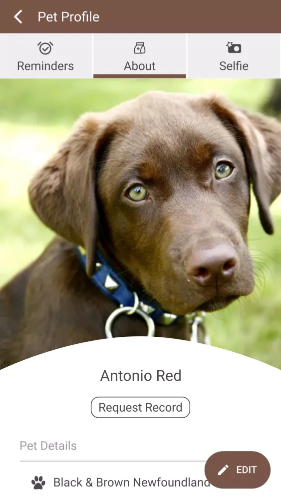 تصاویر Bayonne Animal Hospital