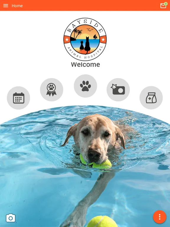 Screenshot di Bayside Animal Hospital iPad 