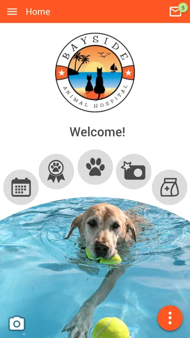 Screenshot di Bayside Animal Hospital