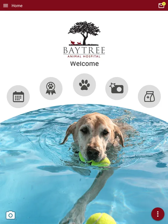 Baytree Animal Hospital iPad  Screenshots