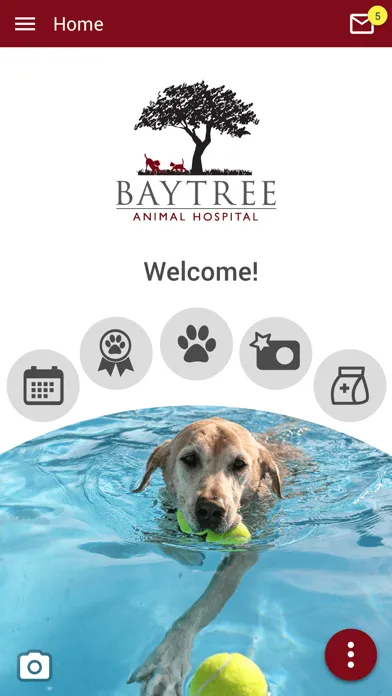 Baytree Animal Hospital Screenshots