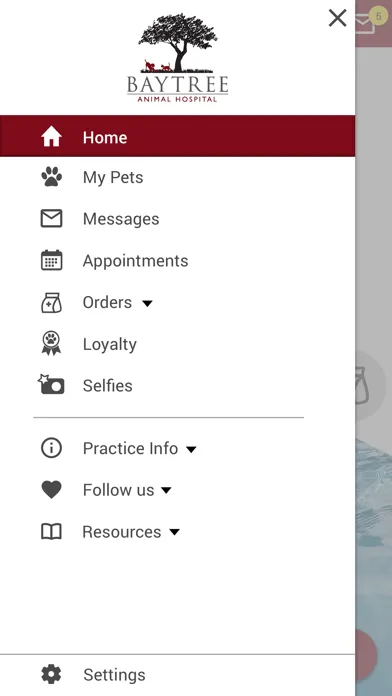 Baytree Animal Hospital Screenshots