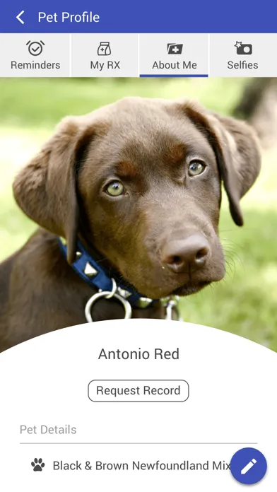 Bee Ridge Veterinary Clinic应用截图