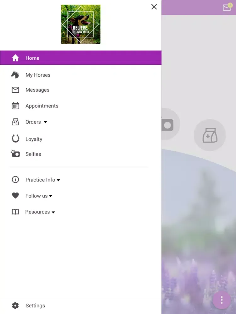 Capturas de tela do Believe Riverside Ranch iPad 