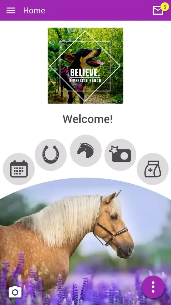 Capturas de tela do Believe Riverside Ranch