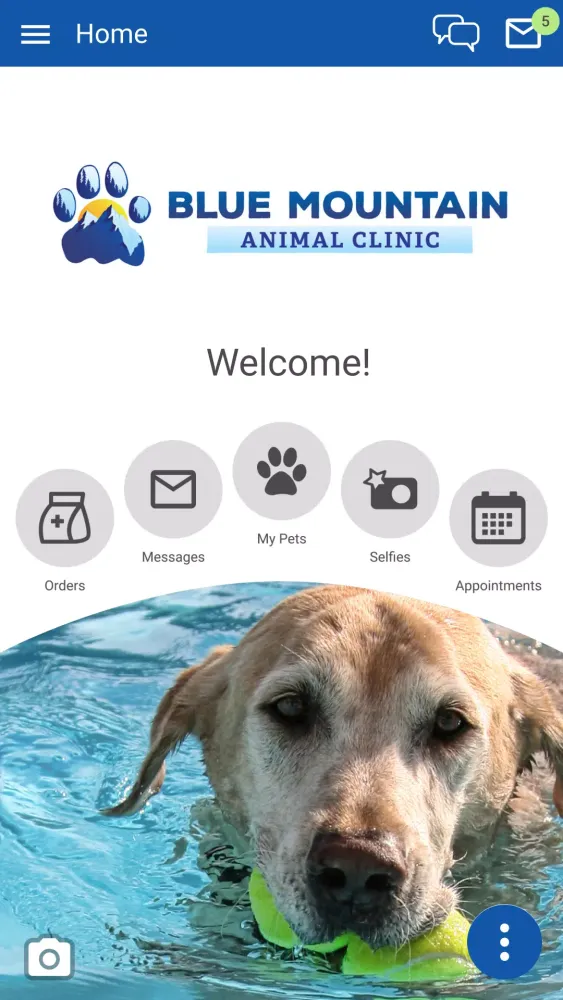 Blue Mountain Vet Screenshots