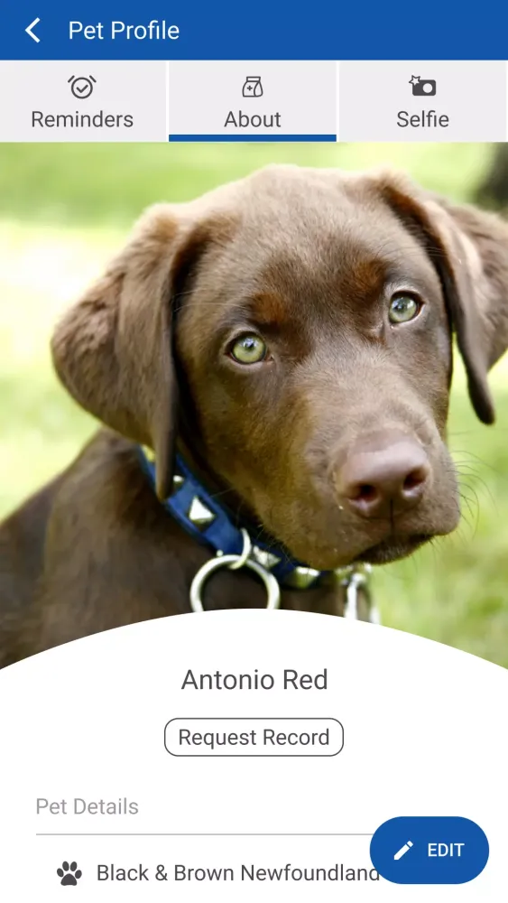 Blue Mountain Vet Screenshots