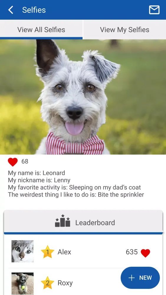 Blue Mountain Vet Screenshots