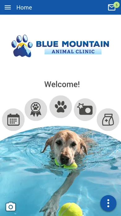 Скриншоты Blue Mountain Vet