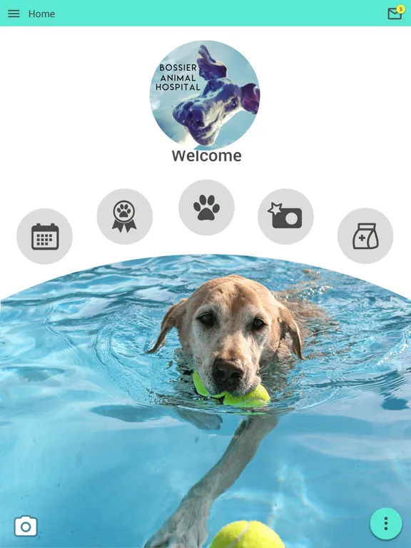 Bossier Animal Hospital iPad 应用截图
