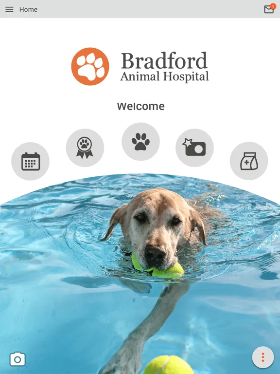 Bradford Animal Hospital iPad  Ekran Görüntüleri