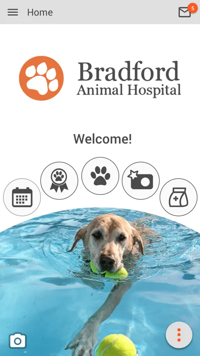 Bradford Animal Hospital Ekran Görüntüleri