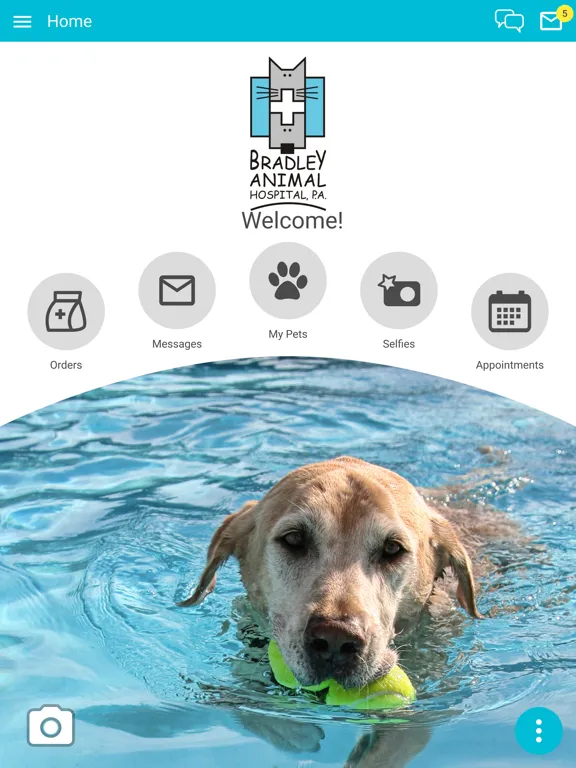 Capturas de tela do Bradley Animal Hospital iPad 