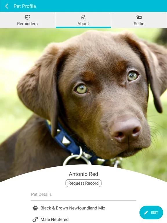 Capturas de tela do Bradley Animal Hospital iPad 