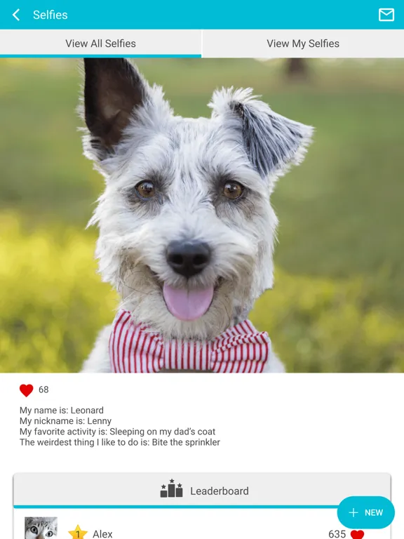 Capturas de tela do Bradley Animal Hospital iPad 