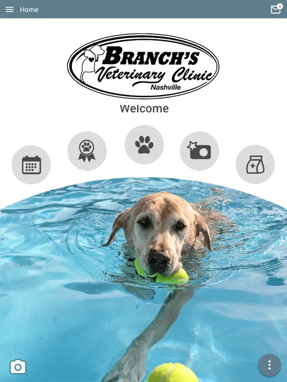 Branchs Vet Clinic Nashville iPad 应用截图